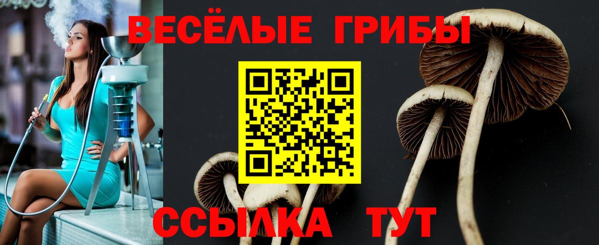 Свободный  Галлюциногенные грибы MAGIC MUSHROOMS  продажа наркотиков  Вход с VPN 